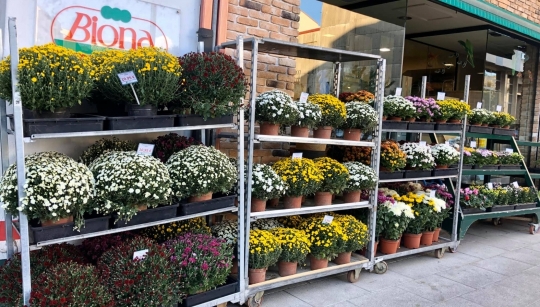 AGROCOUSAS